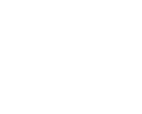 Statewide Services Electrical logo